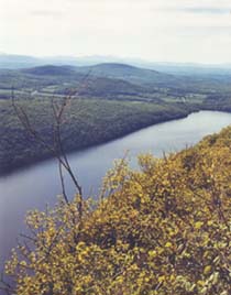 Lake Willoughby from Mount Pisgah
